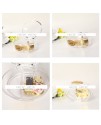 貝殼型 透明 音樂盒 MUSIC BOX
